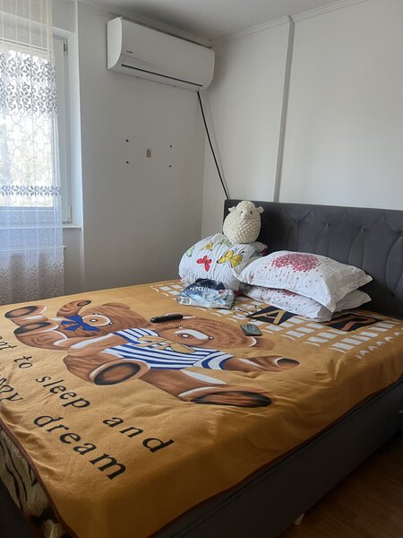 Petre Ispirescu, Aleea Vicina,