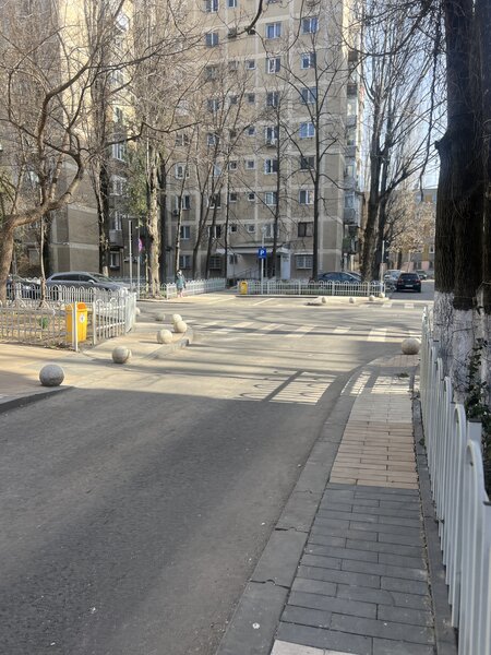 Petre Ispirescu, Aleea Vicina,