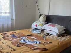 Petre Ispirescu, Aleea Vicina